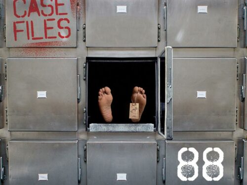 Adam’s Case Files