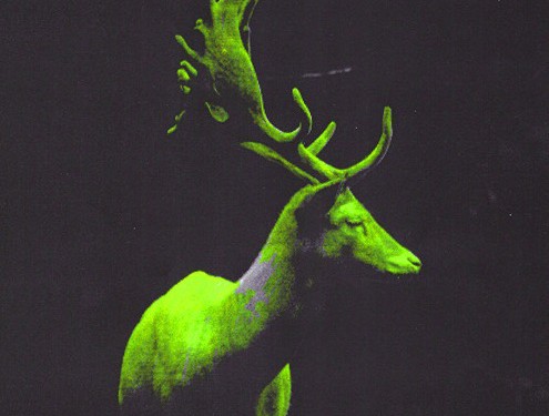 Nodey sort un nouvel extrait de son EP