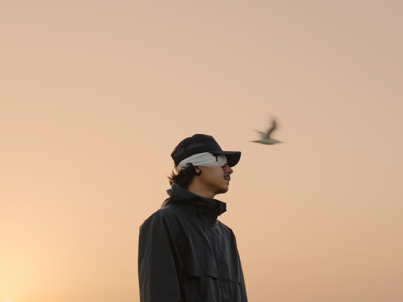 NeS impose son temps et ses phases dans La Course - Sidekicks - Abcdr ...