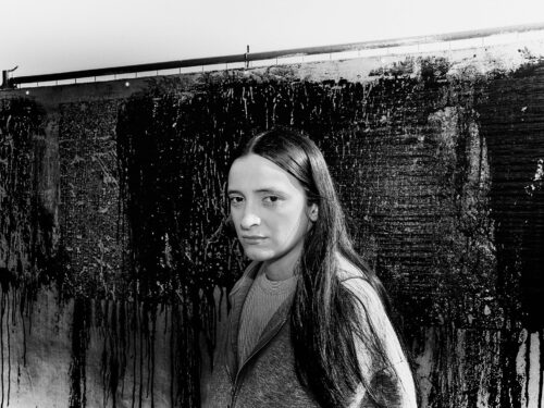 Zinée sous la surface